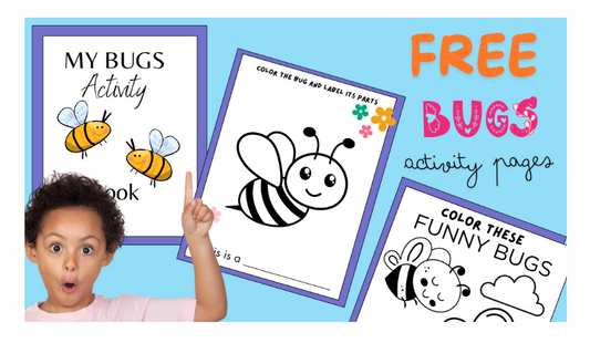 Bug Activities for Kids: Exploring The Big Book of Bugs in Kindergarten
