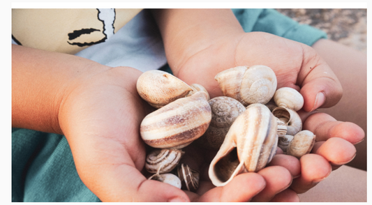 Math Games for Kindergarten: Building a Strong Foundation at the Start of the Year
