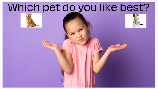 How to Use a Question of the Day in Kindergarten: Routines and Ideas