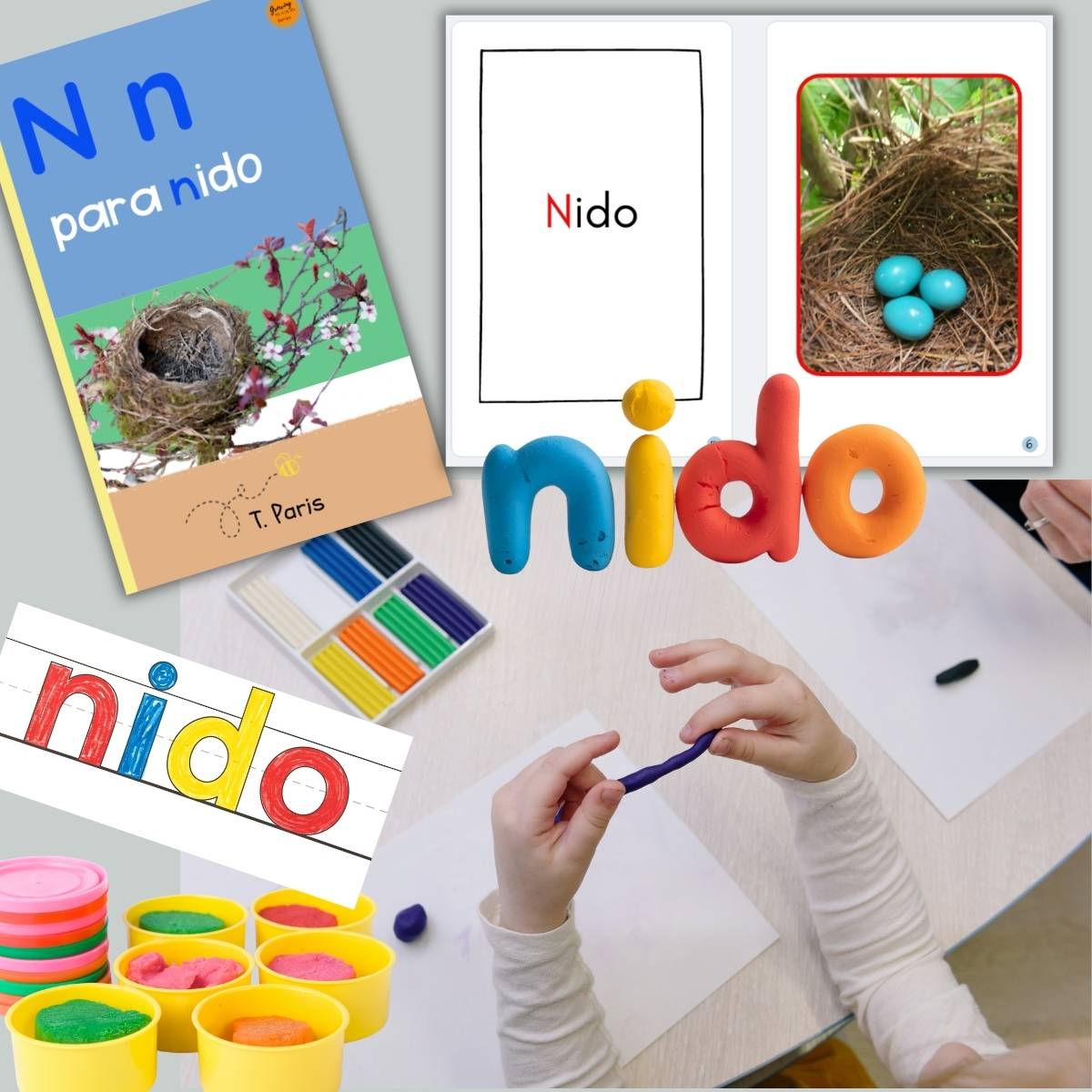 Spanish Phonics Book for Children – N para nido, Ages 3-6, Learn to Read