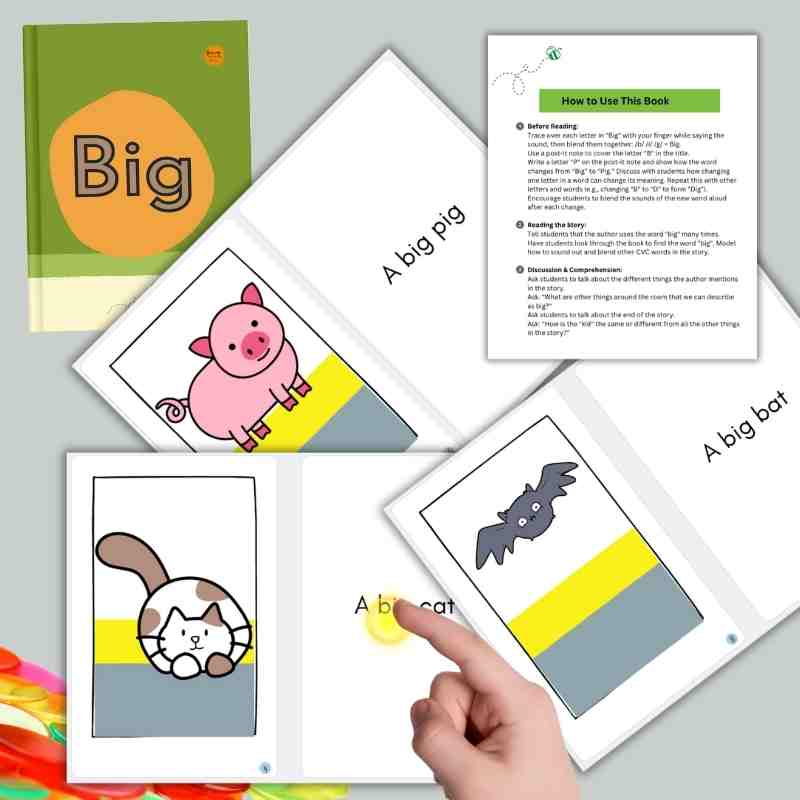 Decodable Phonics Book for Kids: Big