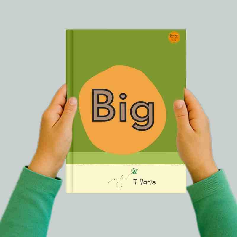 Decodable Phonics Book for Kids: Big