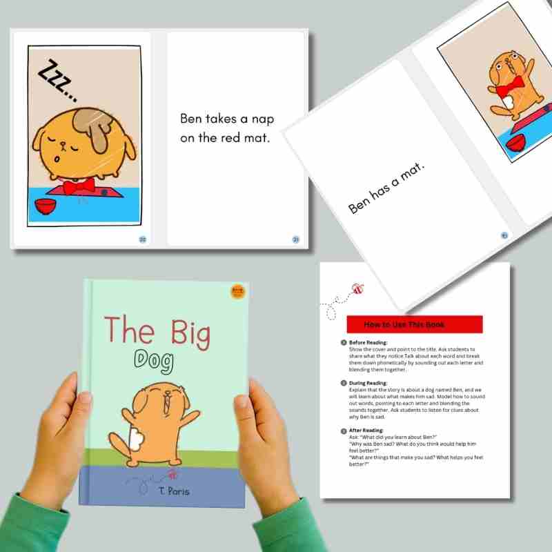 Decodable Phonics Story for Kindergarten Readers: The Big Dog