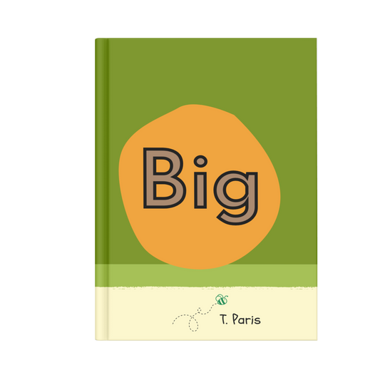 Big~ Building CVC Fluency for Early Readers