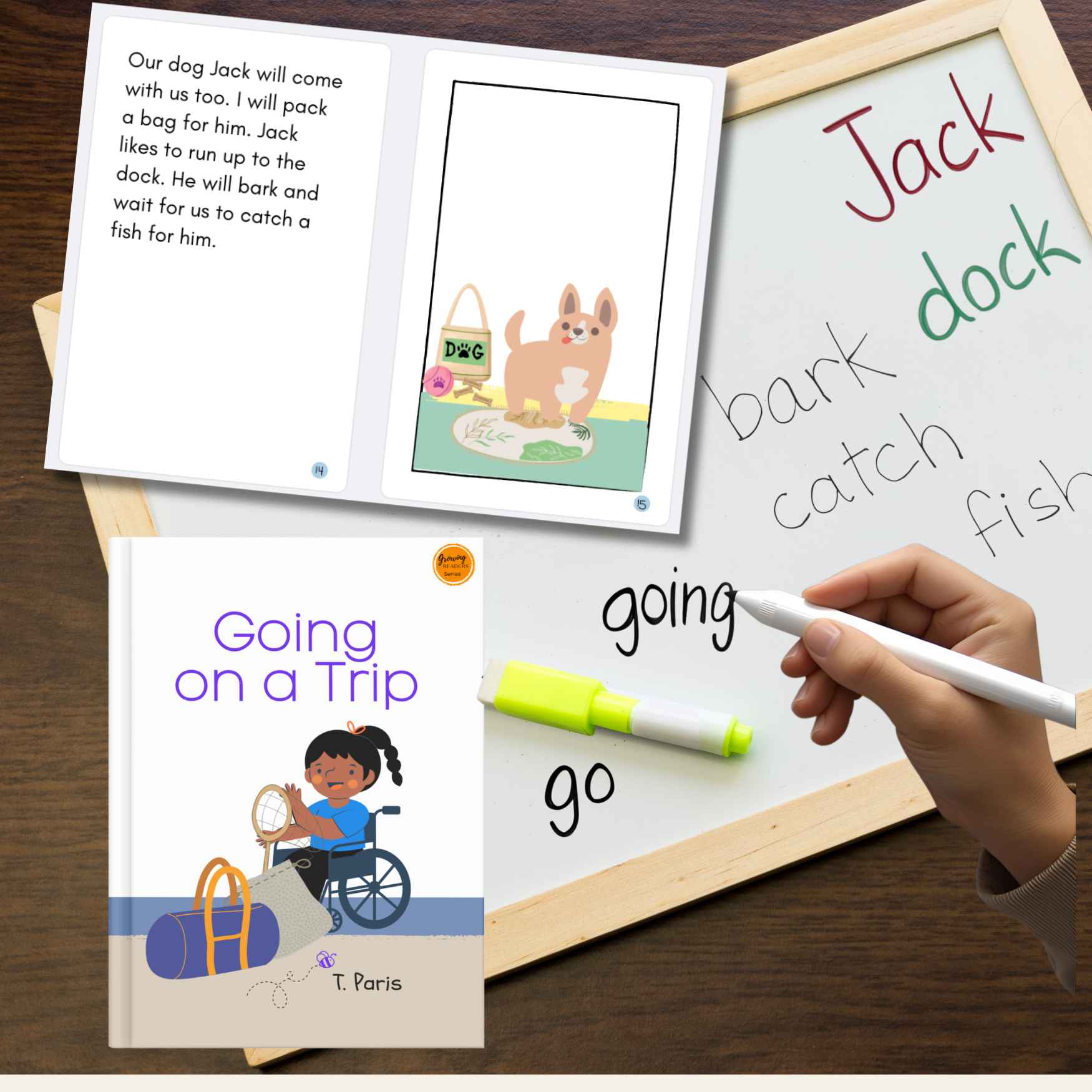 phonic reader to build fluency