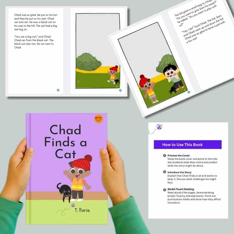 Chad Finds a Cat - Decodable Reader for Early Readers