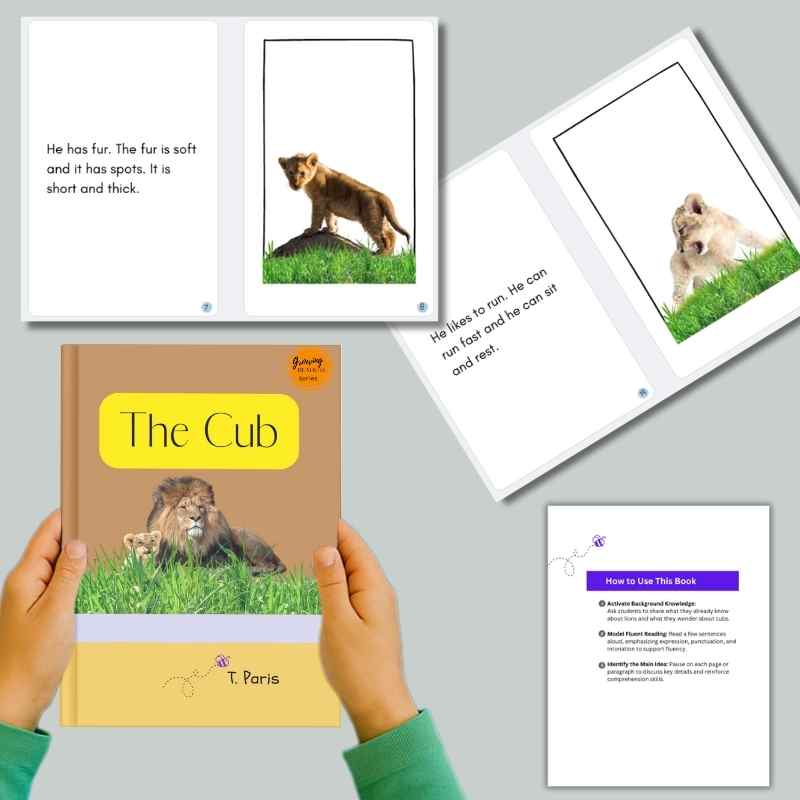 Decodable Book for Early Readers: The Cub