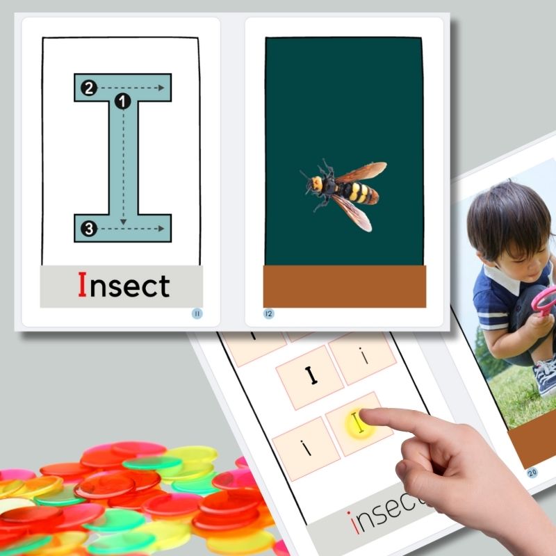 I is for Insect: Alphabet Learning Book for Kindergarten & Preschool | Letter Recognition & Phonics