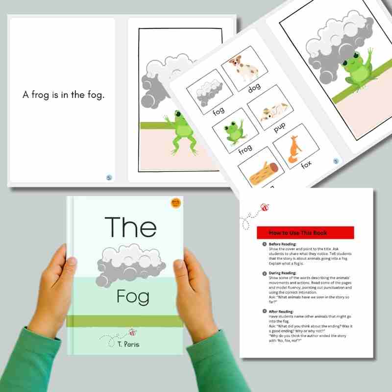 Decodable Story that Builds Reading Fluency: The Fog